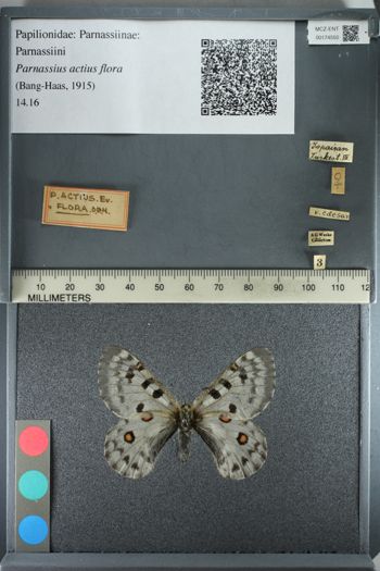 Media type: image;   Entomology 174550